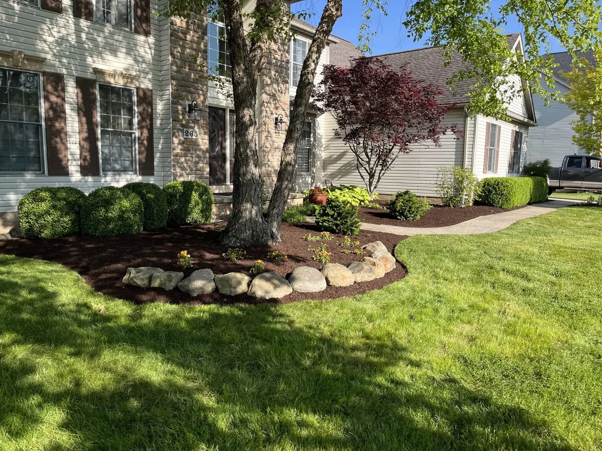 Crisp mowing stripes on a residential lawn in Aurora, Ohio